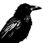 Intriguing Raven