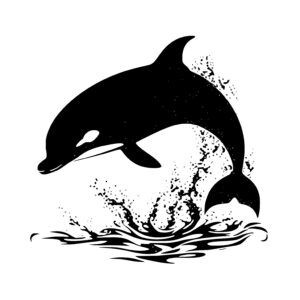 Dolphin Symphony