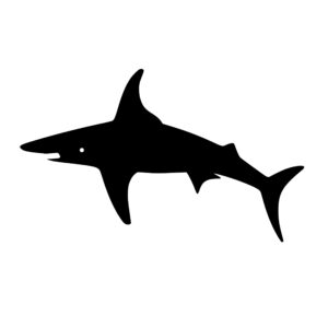 sea_animals_1679692744957760.jpeg