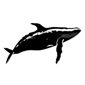 sea_animals_1679692749996401.jpeg