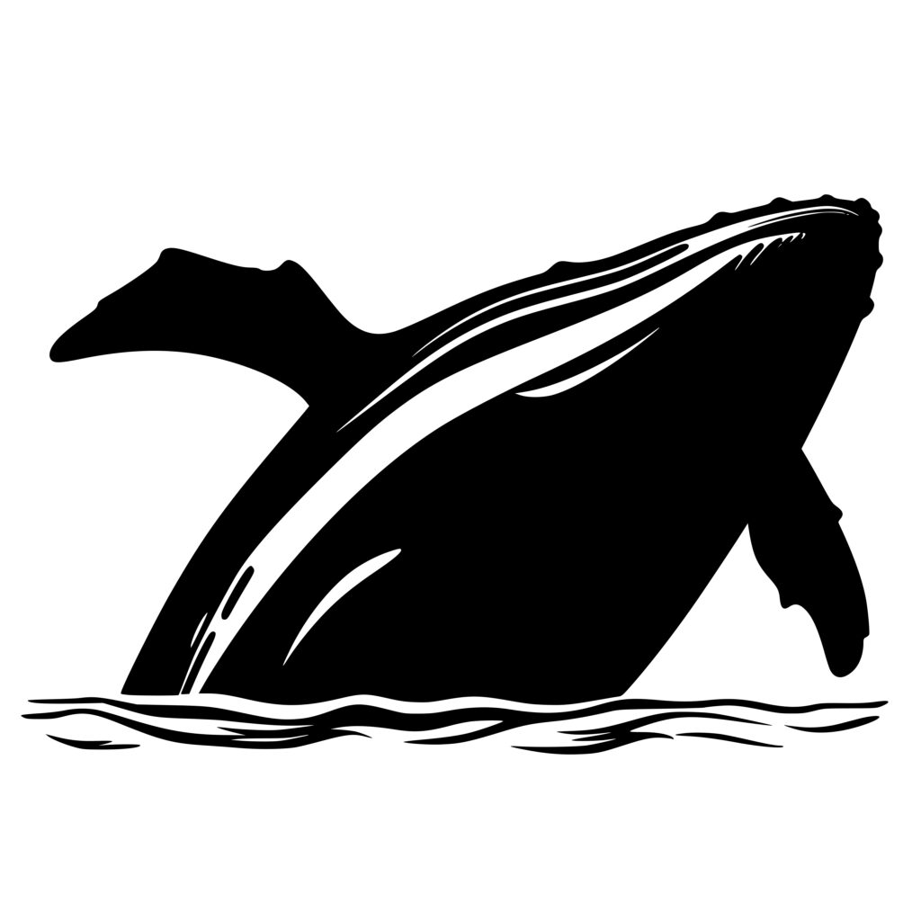 Humpback Whale Breaching - SVG File for Cricut & Silhouette