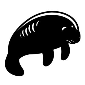 sea_animals_1679692755207989.jpeg