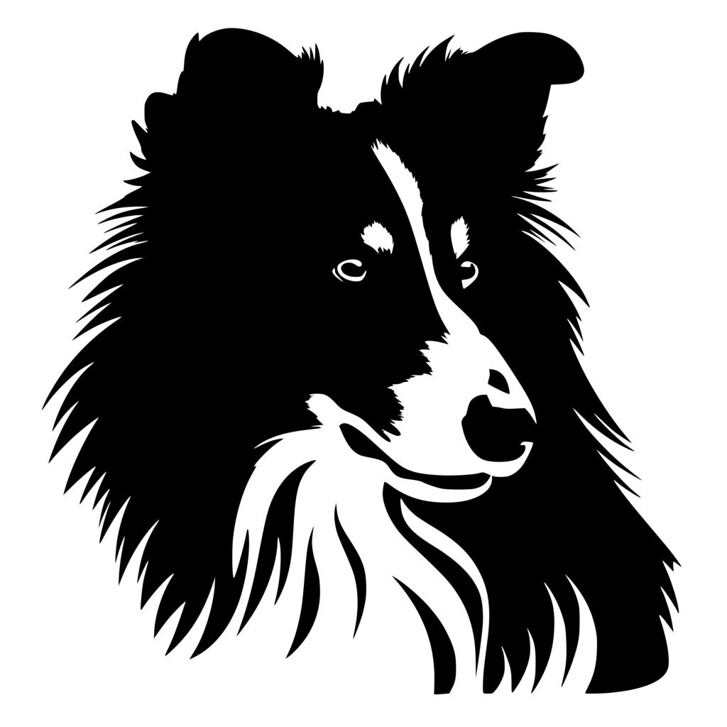 Shetland Sheepdog SVG File for Cricut, Silhouette, Laser Machines