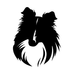 sheltie_1679999809297735.jpeg