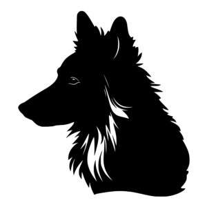 shetland_sheepdog_1679999661434114.jpeg