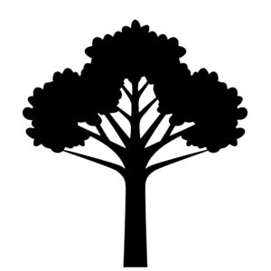 tree_1679864503817548.jpeg