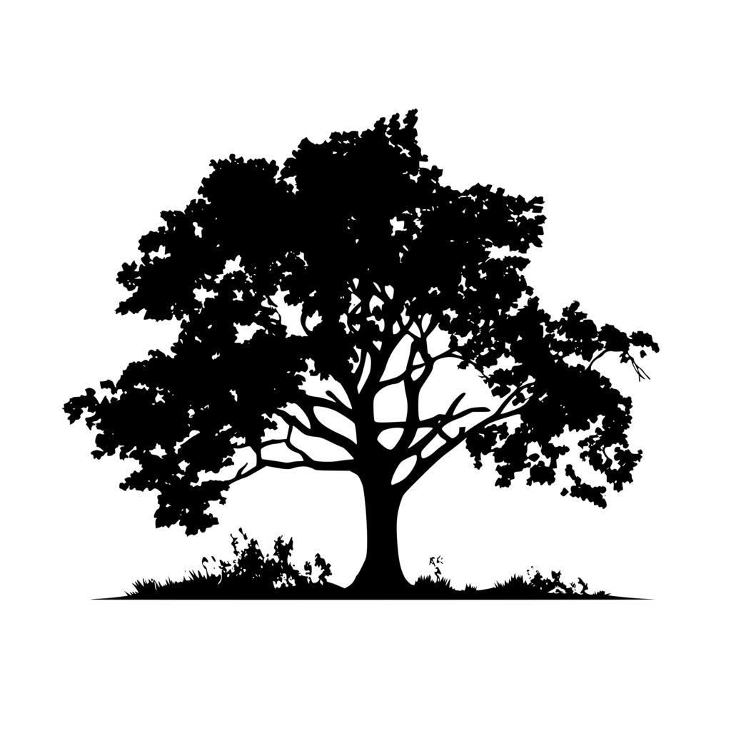 Oak Tree SVG Image: Instant Download for Cricut, Silhouette, Laser Machines