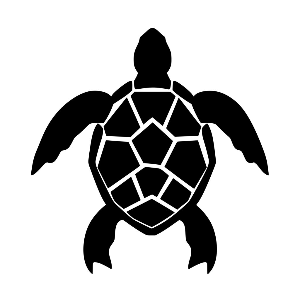 Instant Download SVG/PNG/DXF File: Pond Turtle for Cricut, Silhouette ...