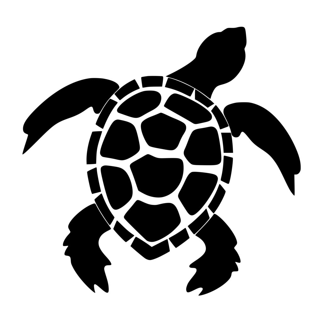 Instant Download White Spotted Turtle Svg, Png, Dxf File For Cricut 