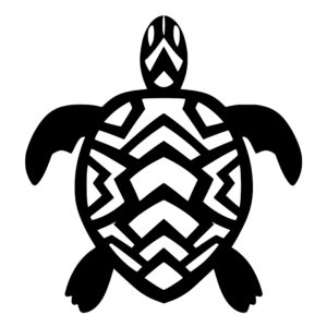 turtles_1679865748214683.jpeg