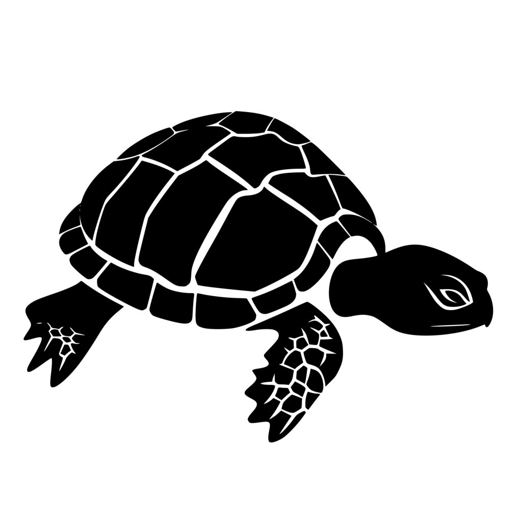 Cute Turtle SVG File for Cricut, Silhouette, and Laser Machines