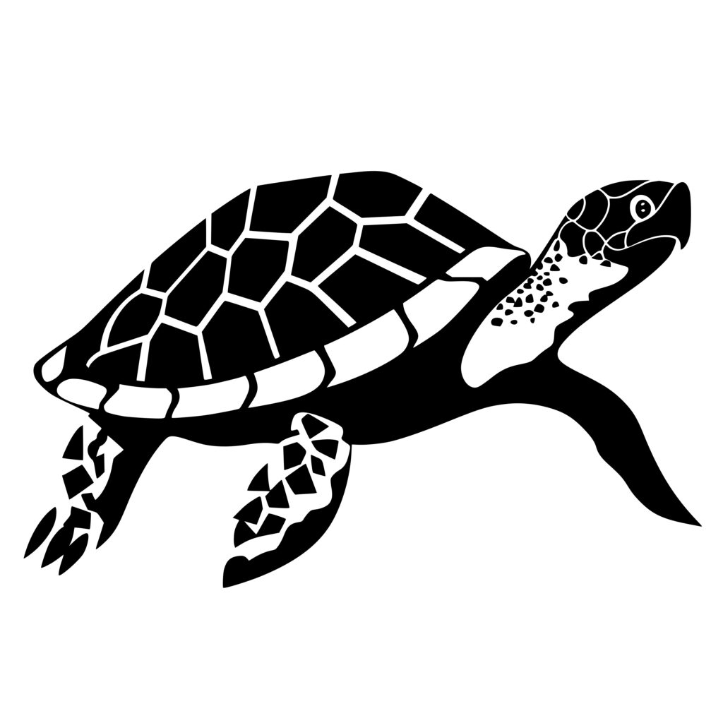 Diamondback Turtle SVG File for Cricut, Silhouette, Laser Machines