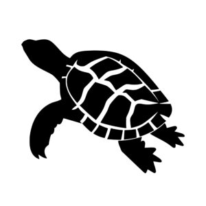 turtles_1679865753251777.jpeg