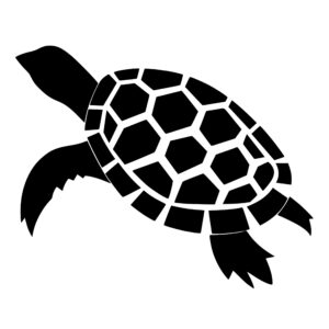 turtles_1679865957143692.jpeg