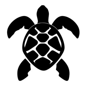turtles_1679865957170175.jpeg