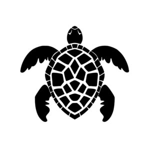 turtles_167986595772421.jpeg