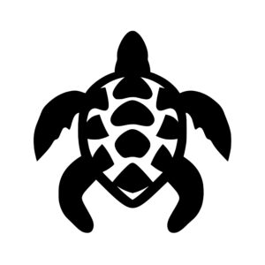 turtles_167986595781100.jpeg