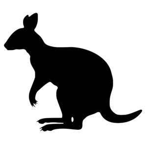 wallaby_1679864508963517.jpeg