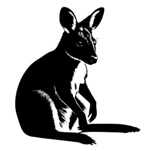wallaby_1679999880592642.jpeg