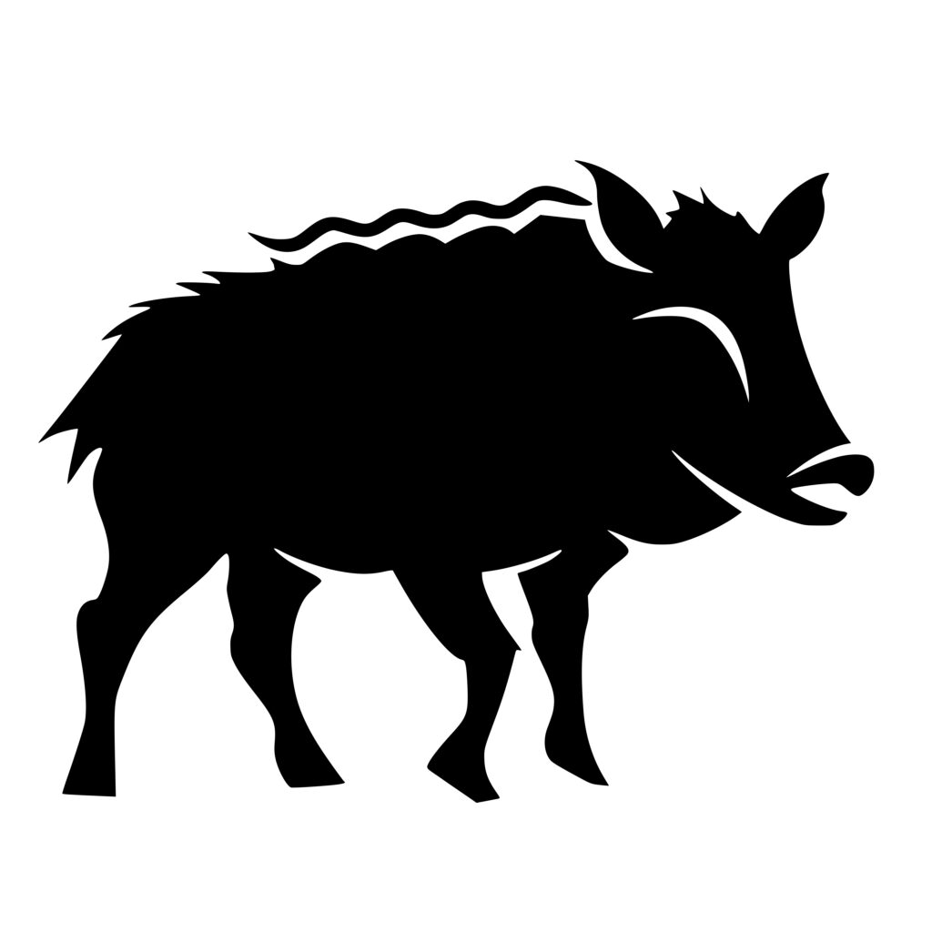 Wild Warthog Instant Download Image for Cricut, Silhouette, Laser Machines