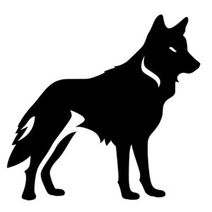 wild_animals_1679692498144985.jpeg