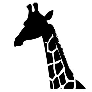 wild_animals_1679692744871332.jpeg