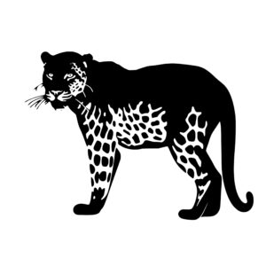 wild_animals_167969275099205.jpeg
