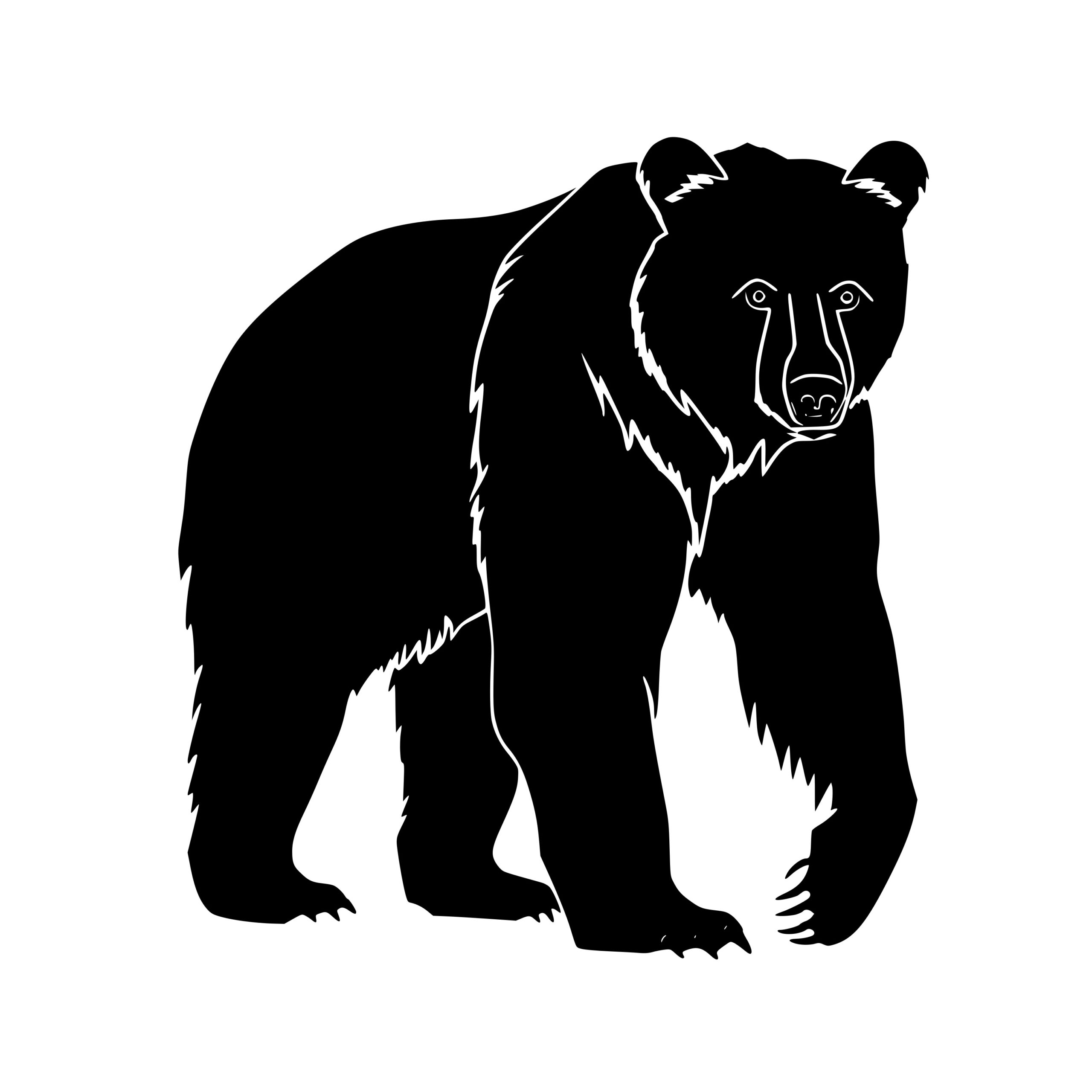 Detailed Bear SVG File for Cricut, Silhouette, Laser Machines