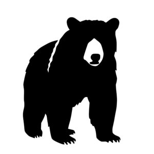 wild_animals_1679864337795104.jpeg
