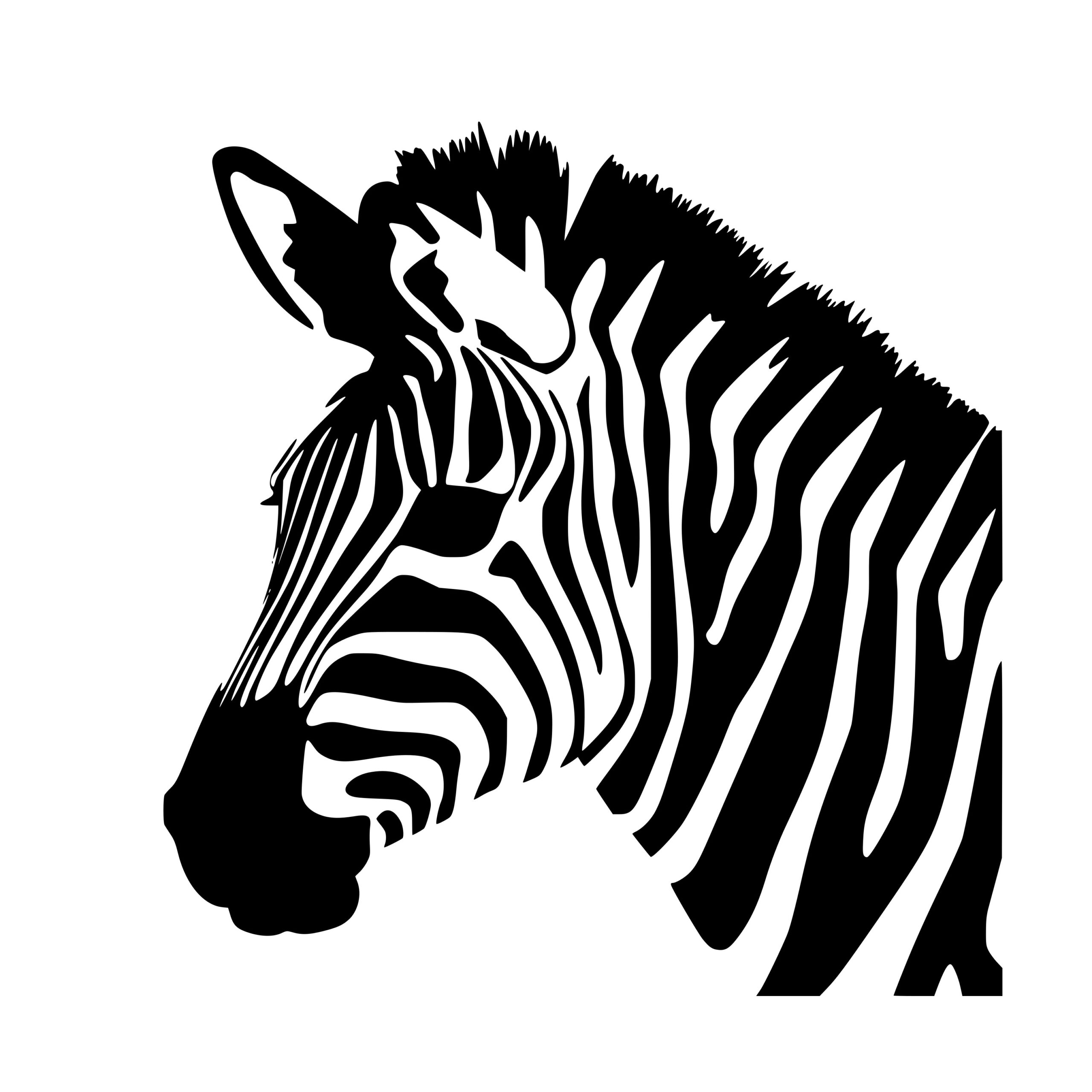 Instant Download Zebra Portrait SVG/PNG/DXF for Cricut, Silhouette ...