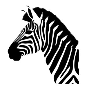 wild_animals_1679864353218508.jpeg