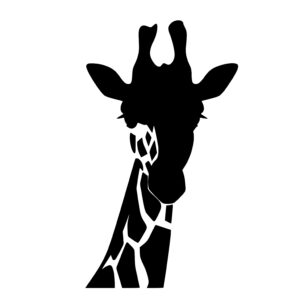 Spotty Giraffe