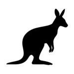 Kangaroo