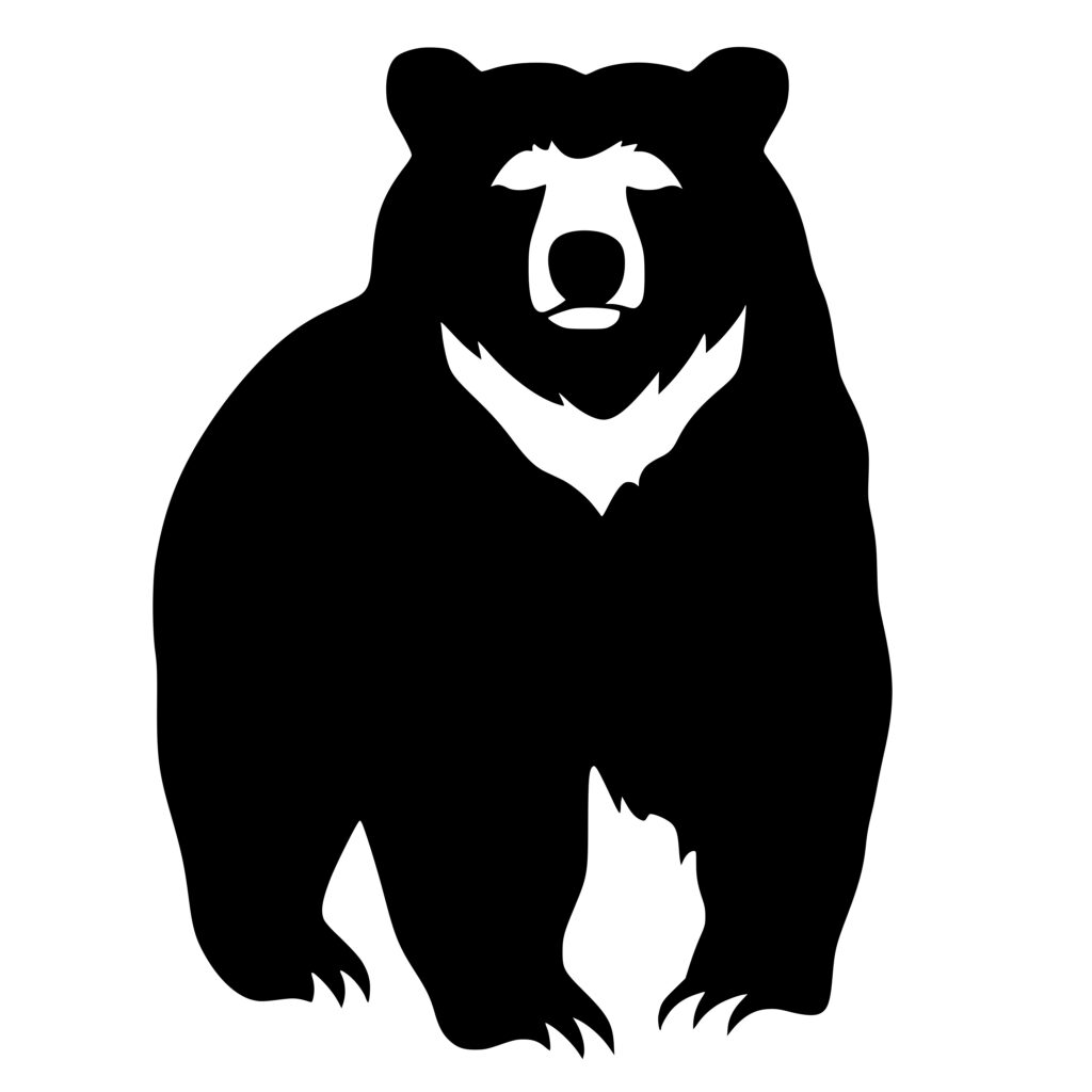 Wild Bear with White Fur SVG Image for Cricut, Silhouette, and Laser ...