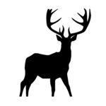 Stag Silhouette