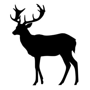 Noble Deer