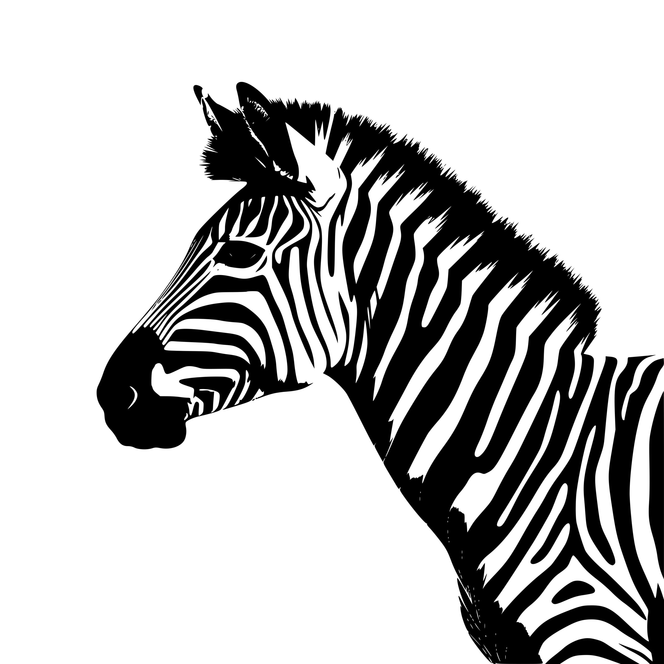 Zebra Sideways SVG Image for Cricut, Silhouette, Laser Machines