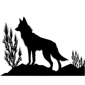 Wolf in the Desert