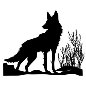 Wolf in the Desert