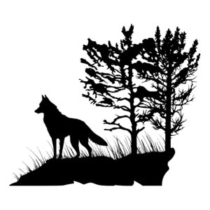 wolf_1679346100239239.jpeg