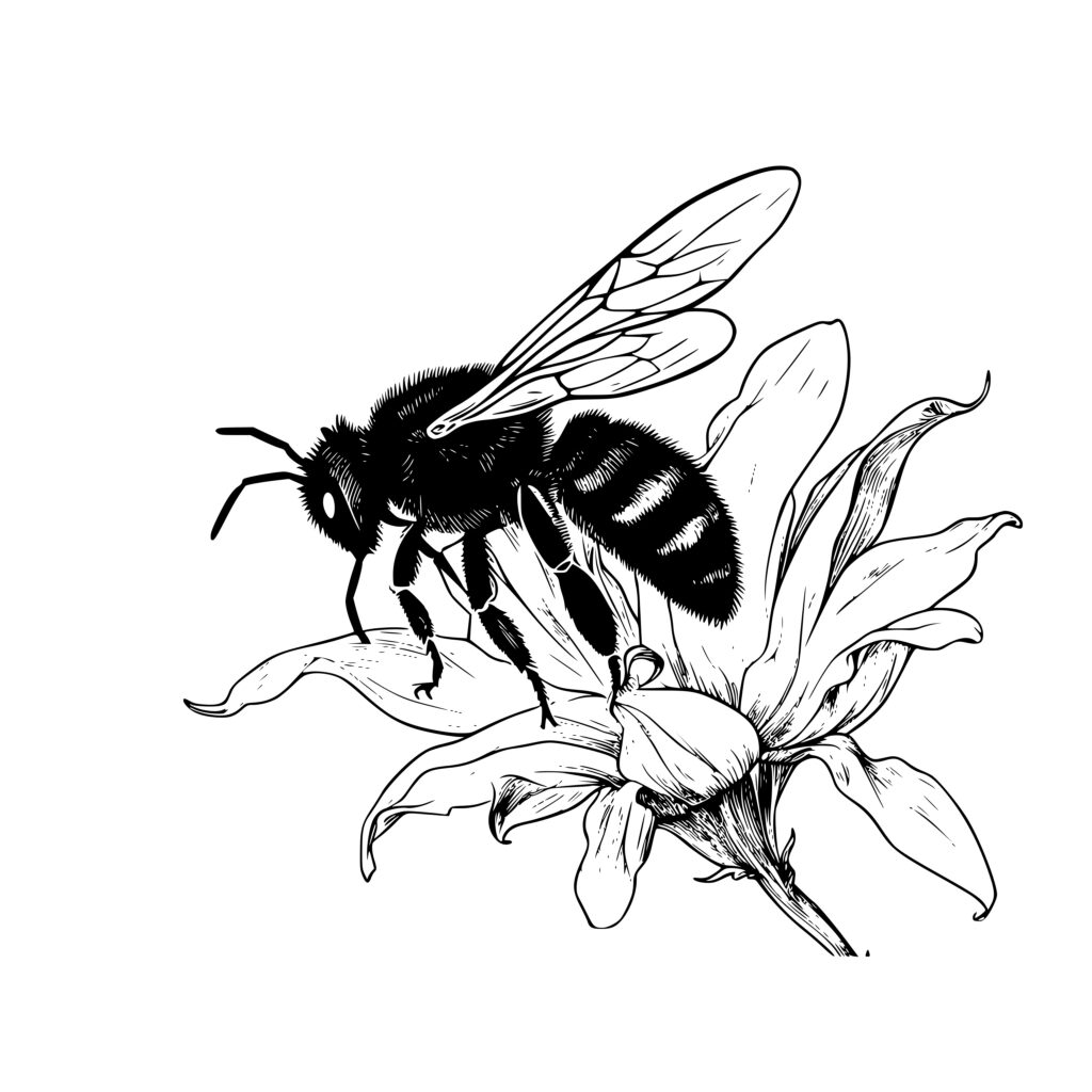 Bee on Flower - SVG/PNG/DXF Instant Download for Cricut, Silhouette ...