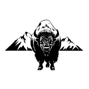 Grand Mountain Buffalo