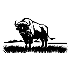 Buffalo in Field