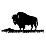 Prairie Buffalo