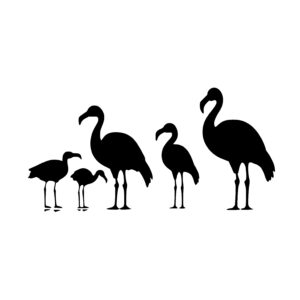 Flamingos in a Row