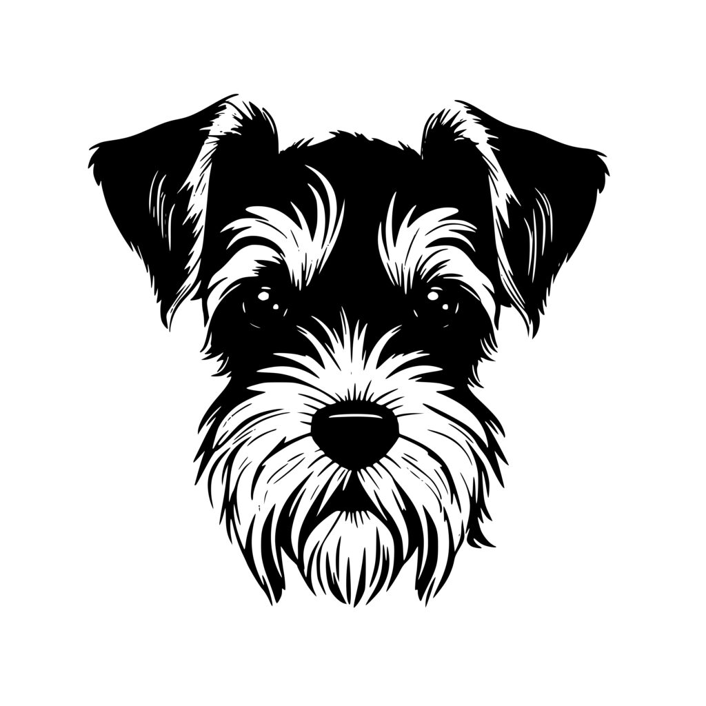 Schnauzer Close-up: Instant Download SVG File for Cricut, Silhouette ...