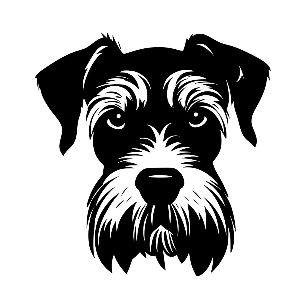 Schnauzer Face: Instant Download SVG/PNG/DXF File for Cricut ...