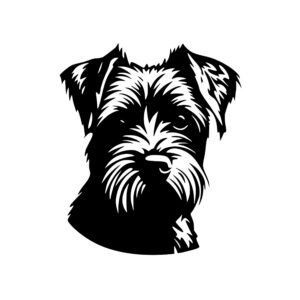 8191.jpeg