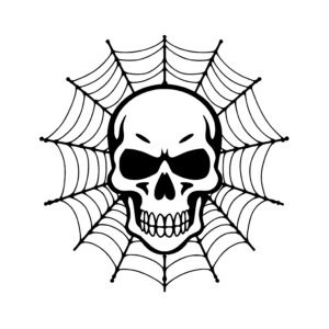Skull in Spiderweb
