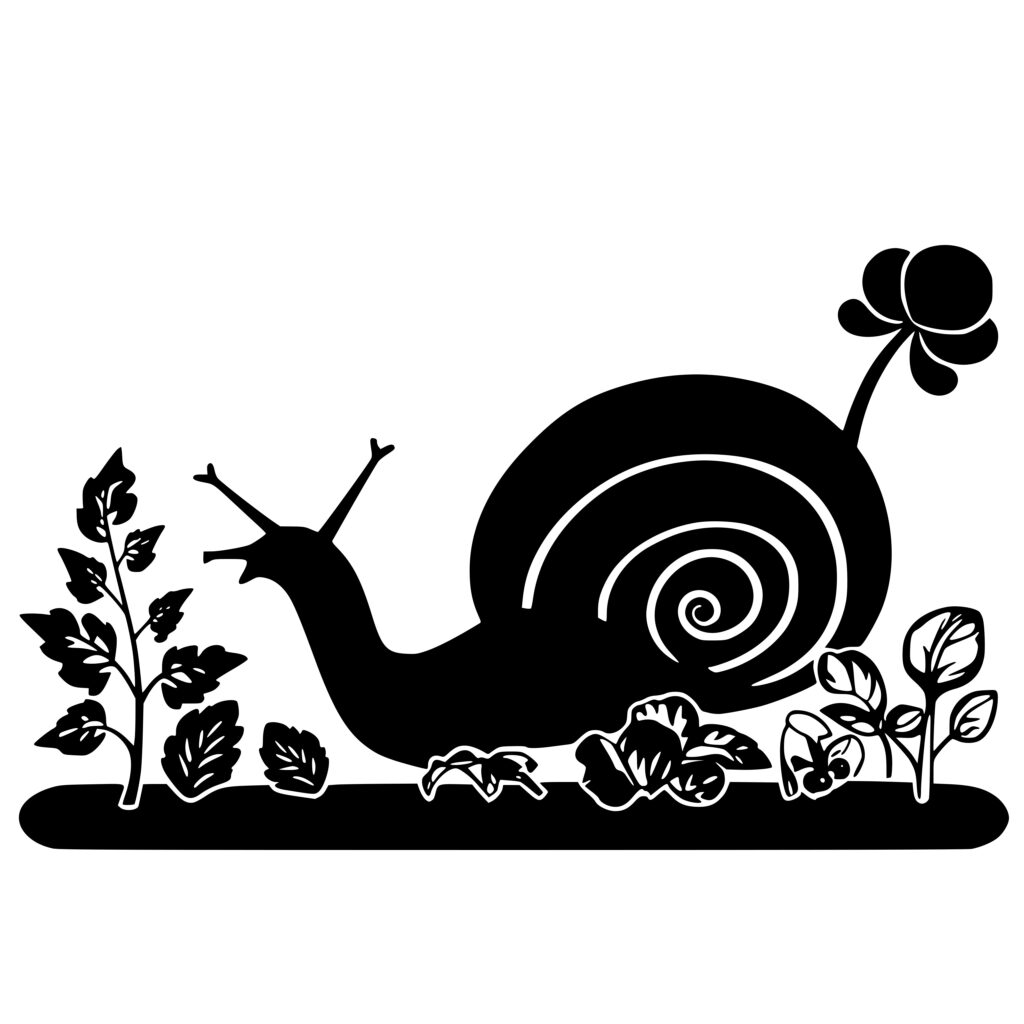 Instant Download Garden Snail SVG PNG DXF Files for Cricut, Silhouette